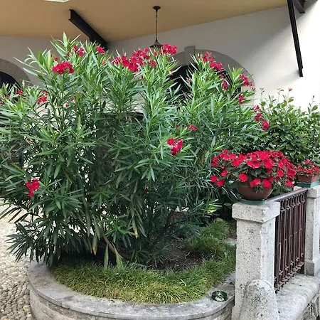 Apartment Ombrosa Primo Piano Nebbiuno